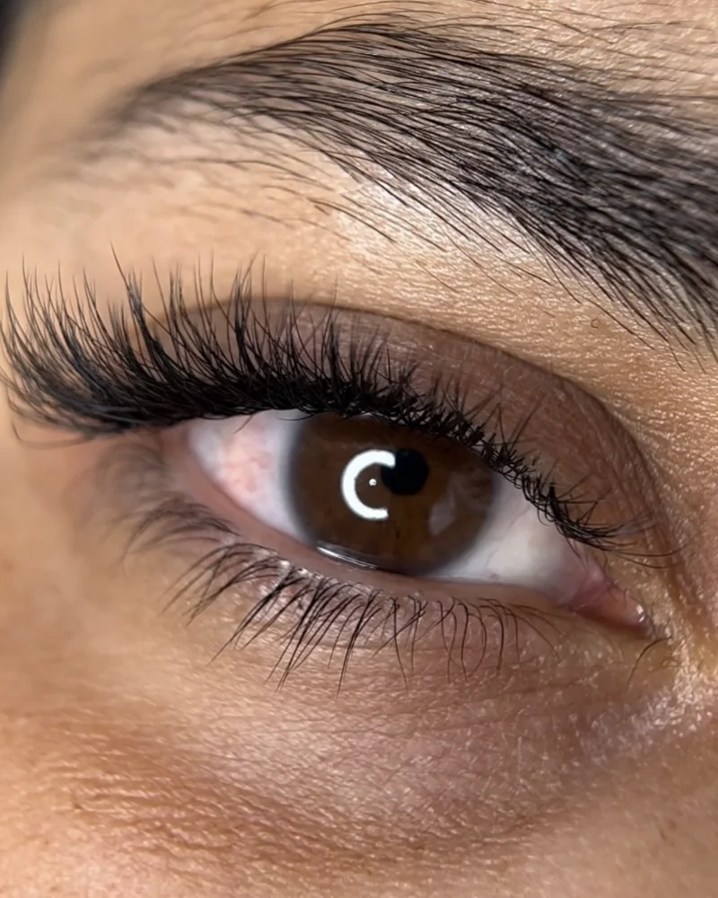 Extensions de cils en volume, vues de très près sur un œil brun
